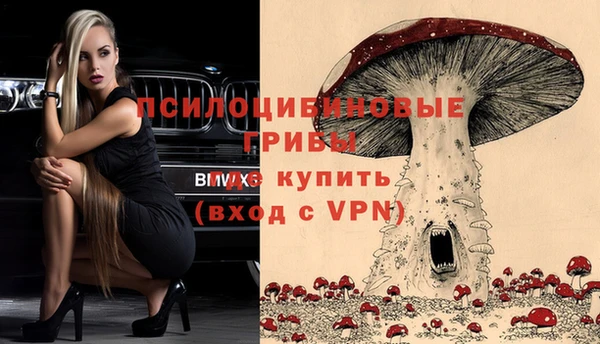 мескалин Бронницы
