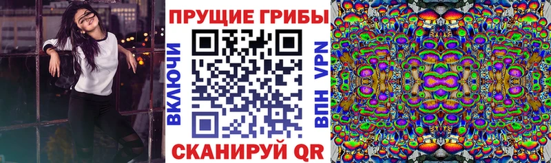Псилоцибиновые грибы MAGIC MUSHROOMS  МЕГА зеркало  Нерехта 